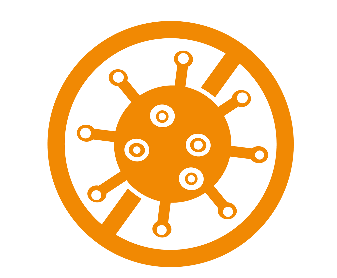 icon Schimmelbeseitigung